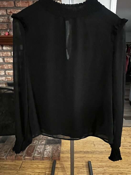 Vigoss Tops - ✨ NWT Vigoss Black Sheer Blouse | Romantic & Effortless ✨
